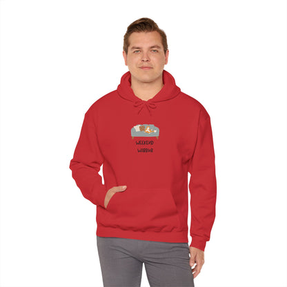 Weekend Warrior Hoodie – Lounging Cat Couch Graphic Sweatshirt